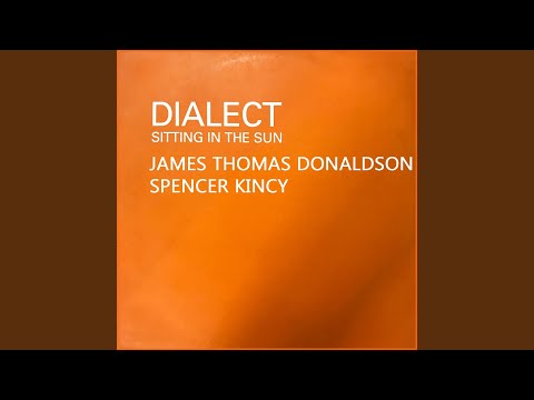 Dialect — Sitting in the Sun (feat. Erica Fleming) (Jt's Live Mix)