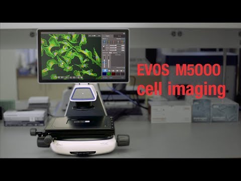 Evos Fl Cell Imaging System Price