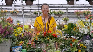 PETITTI | How to Create a Container Garden with HeatLoving, DroughtTolerant Annuals