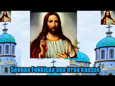 Seenaa Fokkisaa Ana Irraa Kaasse Faarfannaa Afaan Oromoo Orto Tawaahidoo