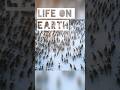 A series about life on earth new trending facts information world study
