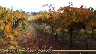 Visit Sutter Creek