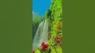 Thumbnail of Runaway - AURORA (Indonesian Paradise 🇮🇩) watch till the end #ytshorts #ytshort #yt