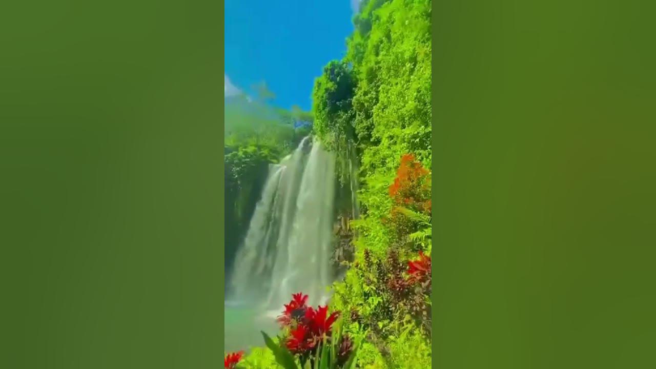 Runaway - AURORA (Indonesian Paradise 🇮🇩) watch till the end #ytshorts #ytshort #yt