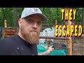 Glad i showed up tiny house homesteading offgrid cabin build diy how to sawmill tractor tiny cabin