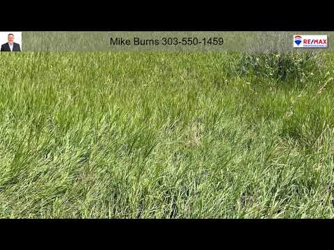 9855 Firestone Circle, Lone Tree, CO home video tour