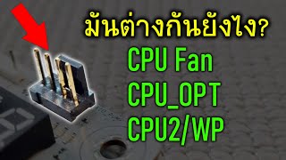 ขั้วพัดลม CPU_Fan และ CPU_OPT หรือ AIO_PUMP มันต่างกันยังไง? เสียบสลับกันได้ไหม?