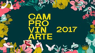 CAMPROVINARTE- Arte en la calle