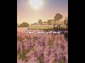صدقة جارية 🌸🍃 ,! #inshot #قرآن #اجر #حسنات #الحمدلله #استغفر_الله #fyp #qran #mainecraft #اكسبلور