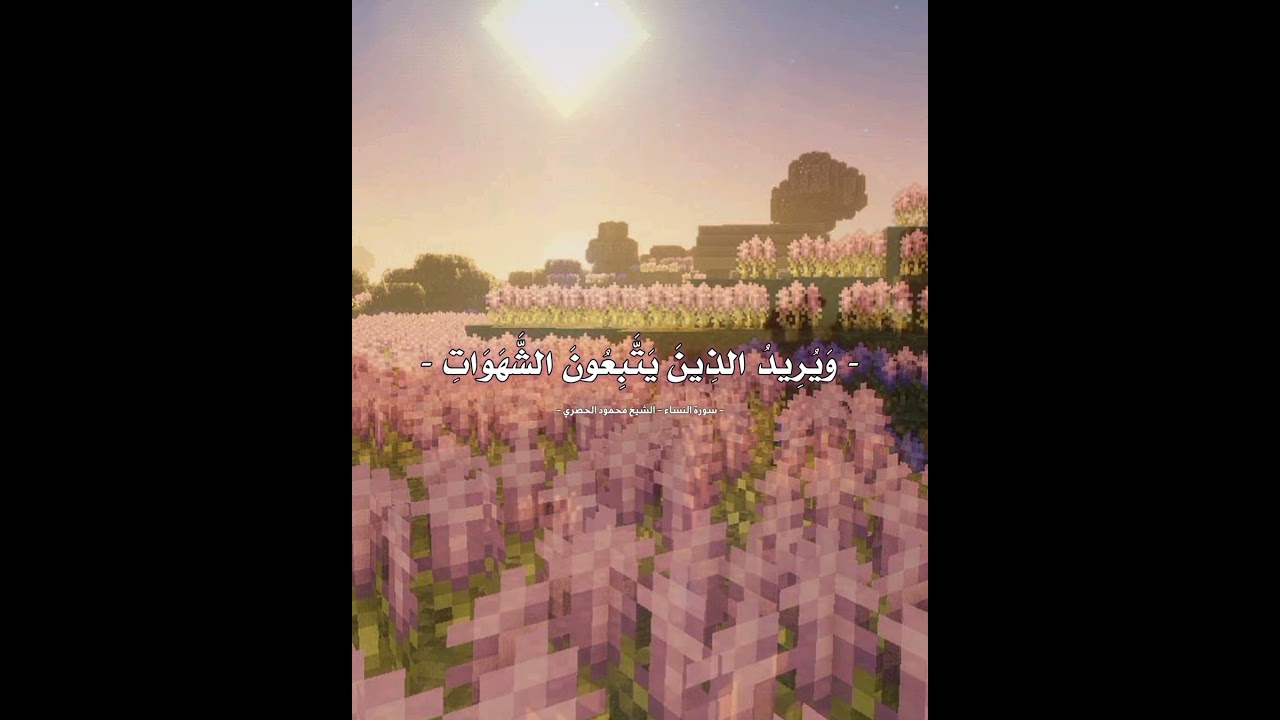 صدقة جارية 🌸🍃 ,! #inshot #قرآن #اجر #حسنات #الحمدلله #استغفر_الله #fyp #qran #mainecraft #اكسبلور