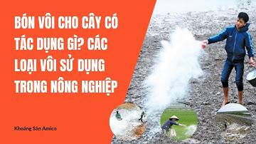 Bón vôi cho cây có tác dụng gì  Các loại vôi sử dụng trong nông nghiệp