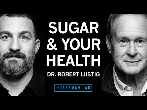 Dr. Robert Lustig: How Sugar x Processed Foods Impact Your Health