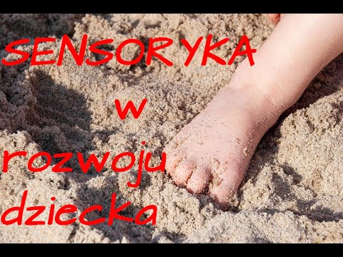 Wideo: Masaru Ibuka O Rozwoju We Wczesnym Dzieciństwie