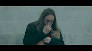 Book Trailer &quot;Street cat named Bob&quot;