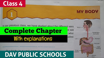 DAV class 4 science chapter 1 My Body - full chapter explained