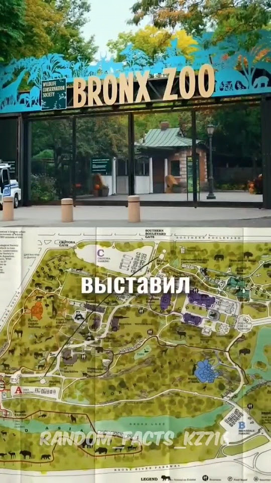 Самое опасное животное в мире #shorts - YouTube