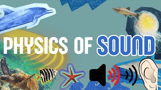 What is SOUND , Simple soft basic fundamental Knwoledge  of SOUND. screenshot 3