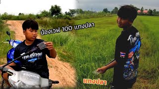 ตามหาน้องเวฟ 100 ไปไหนแทงปลา?