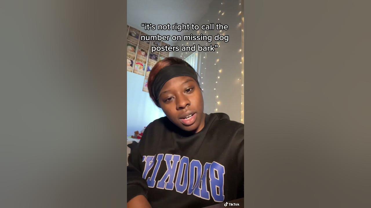 Calling The Number On Missing Dog Posters And Barking YouTube calling-the-number-on-missing-dog-posters-and-barking-youtube