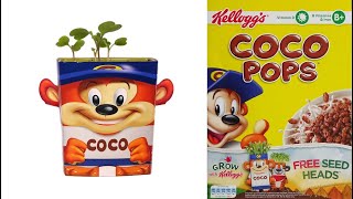 Coco Pops Character Seed Heads Growing Kits & Advert (2015