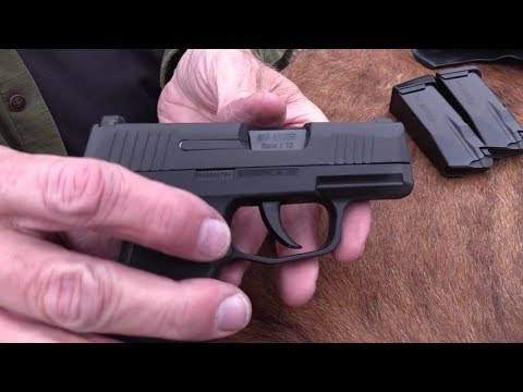 SIG P365