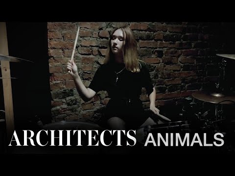 видео: Architects - Animals (drum cover by Alisa Kharlamova)