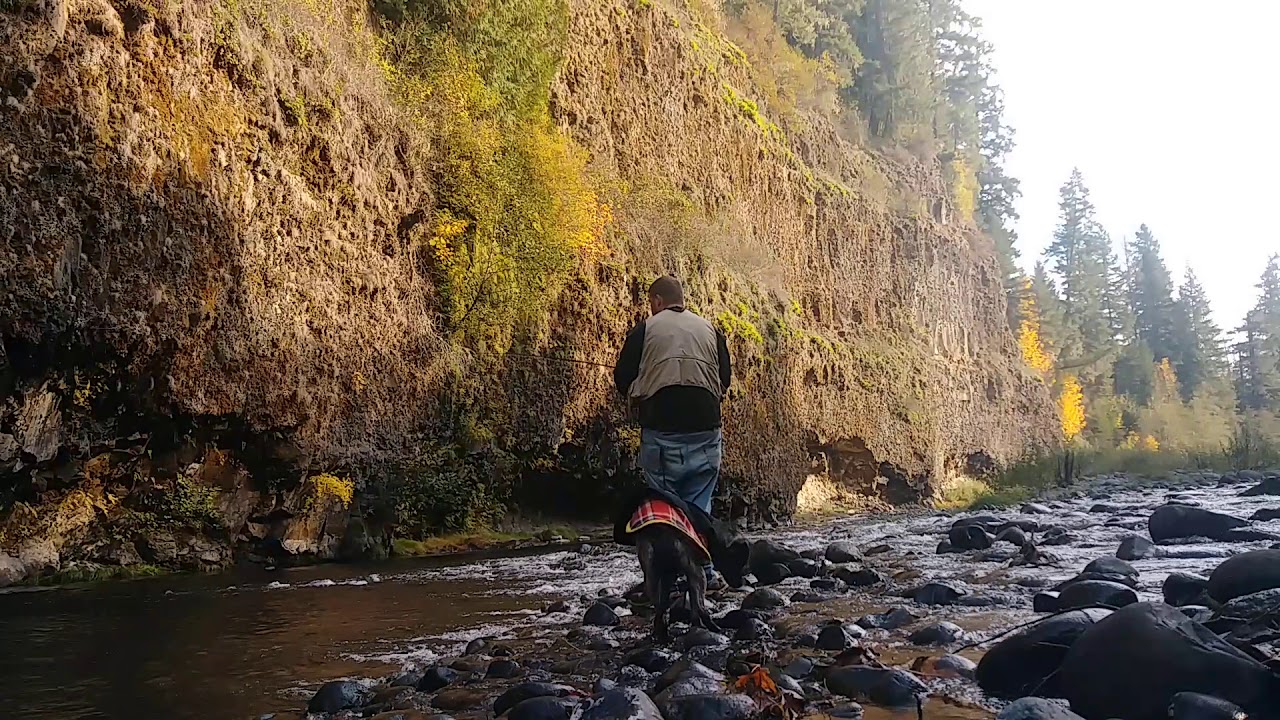 Fly fishing Molalla River YouTube