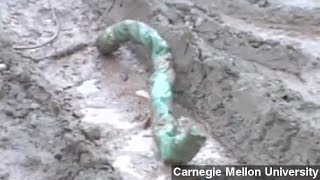 Robot Sidewinds Like A Real Snake To Climb Sandy Slopes