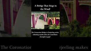 🌉 The Coronation Bridge: The Whistling Wonder of Darjeeling! 🎶💨