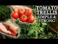 The Best Low-Cost Tomato Trellis for Polytunnels & Greenhouses