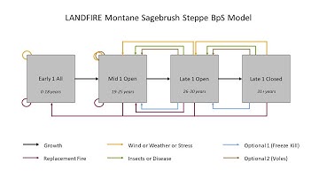 Overview of a LANDFIRE BpS Model in ST-Sim