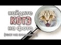 Найди 17 спрятавшихся кошек (тест на внимательность)