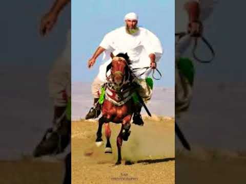 رياح العزم