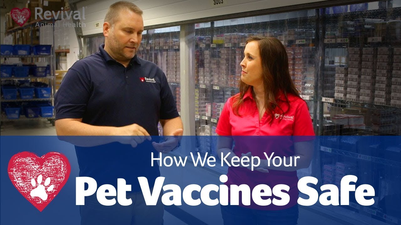 How We Ship Pet Vaccines - YouTube