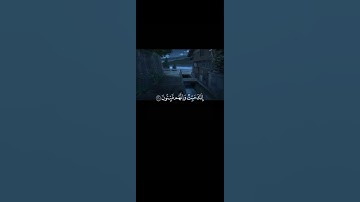 انك مَيِّتٌ وَإِنَّهُمْ مَيِّتُونَ ثُمَّ إِنَّكُمْ يَوْمَ ||تلاوة خاشعة بصوت الشيخ ماهر المعيقلي 💗🌿