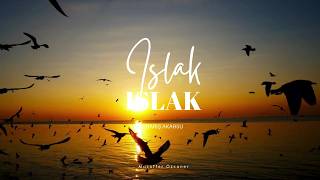 Islak Islak (Remıx) - Barış Akarsu - Muzaffer Özcaner Işakarsu