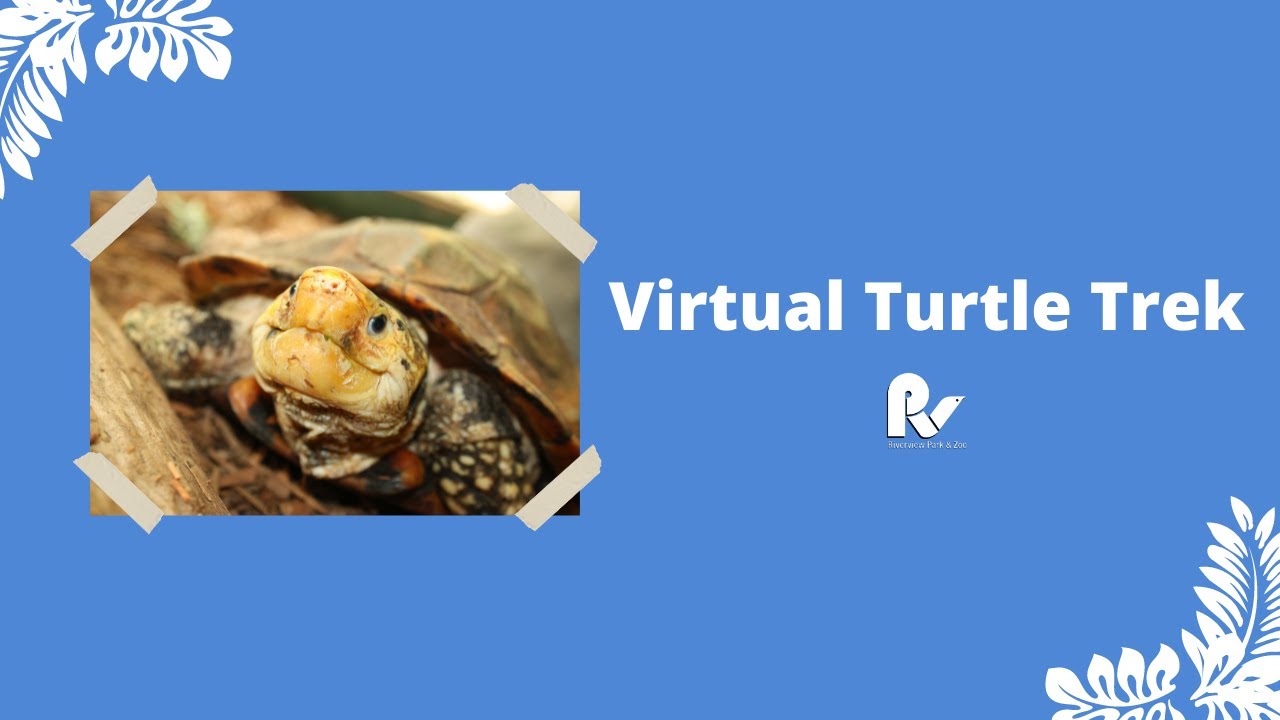 Riverview Park and Zoo - Virtual Turtle Trek