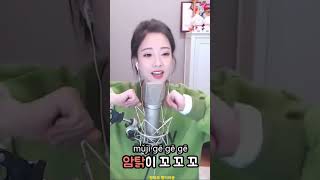 펑티모 병아리송