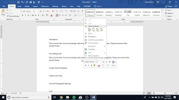 Word Processing - Video 3 - Text Basics