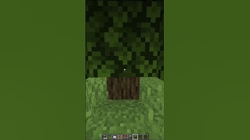 Tree Observer TNT Minecart Trap tutorial (Updated 1.20) #shorts