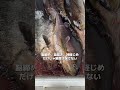 【魚の締め方】脳締め、血抜き、神経締めだけじゃ全部台無しになる。#釣り #鬼絞め #shorts