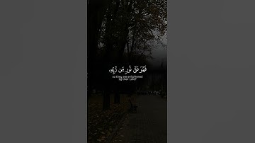 الشيخ محمد اللحيدان|| قران كريم #اكسبلور