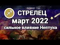 СТРЕЛЕЦ - МАРТ 2022  Нептун оказывает сильное влияние ГОРОСКОП Астролог Olga