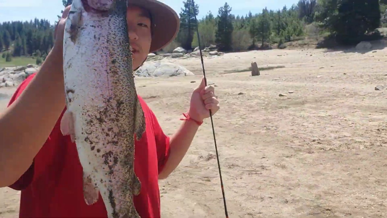 Shaver Lake fishing for carps & trouts non-stop actions - YouTube