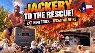 Hurricanes, Wildfires, and a Rat Infestation | The Jackery Solar Generator 5000 Plus SOLVES It All