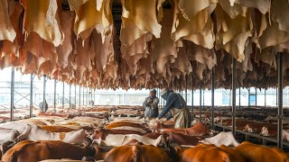 How Millions Of Tons Of Leather Are Made Inside Animal Hide Processing Tanning Factories