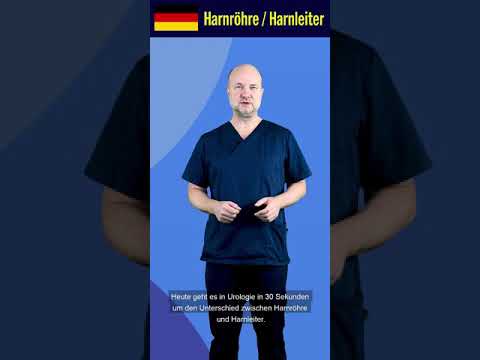 Video: Unterschied Zwischen Harnleiter Und Harnröhre
