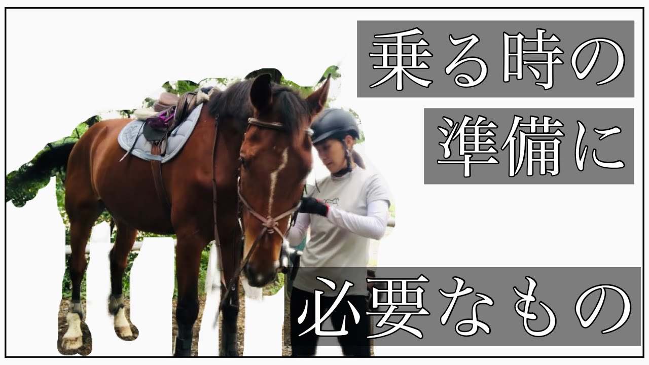 乗る時の準備に必要もの】馬装/乗馬/頭絡/鞍/お手入れ - YouTube