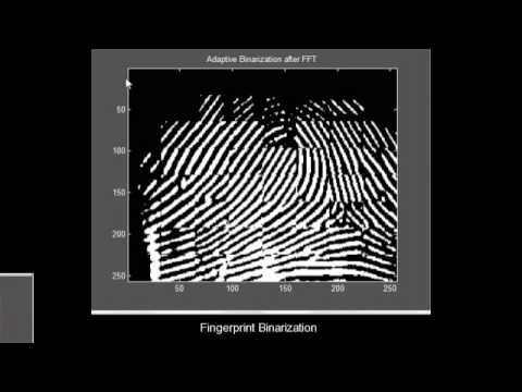 multilevel structural technique for fingerprint Matlab