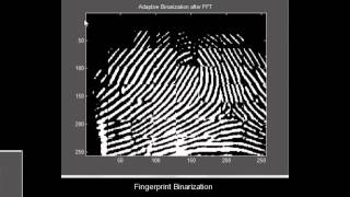 multilevel structural technique for fingerprint Matlab